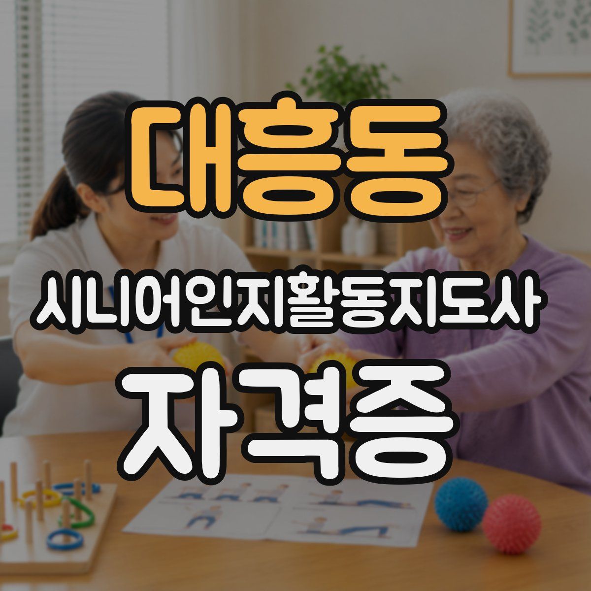 대흥동 시니어인지활동지도사 자격증