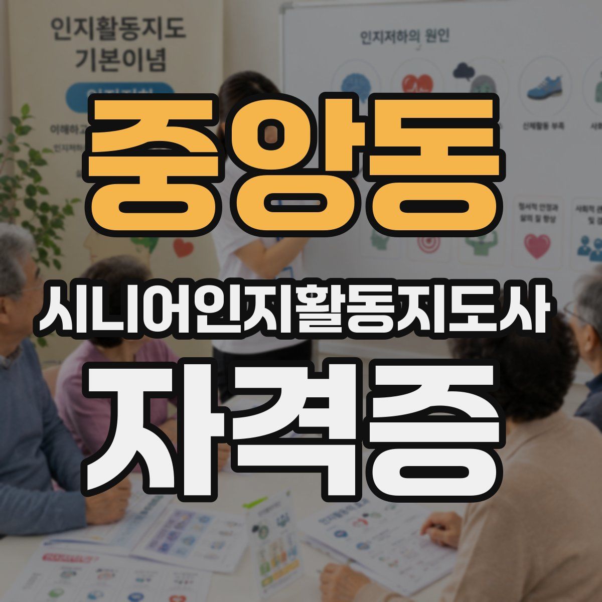 중앙동 시니어인지활동지도사 자격증
