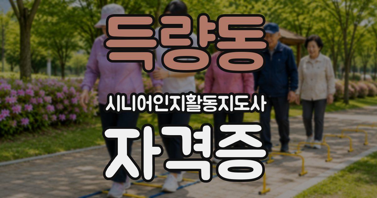 득량동 시니어인지활동지도사 자격증