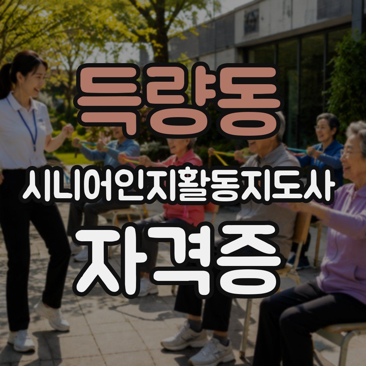 득량동 시니어인지활동지도사 자격증