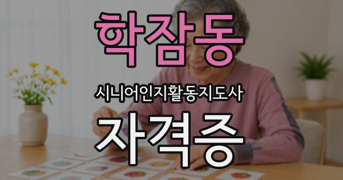 학잠동 시니어인지활동지도사 자격증