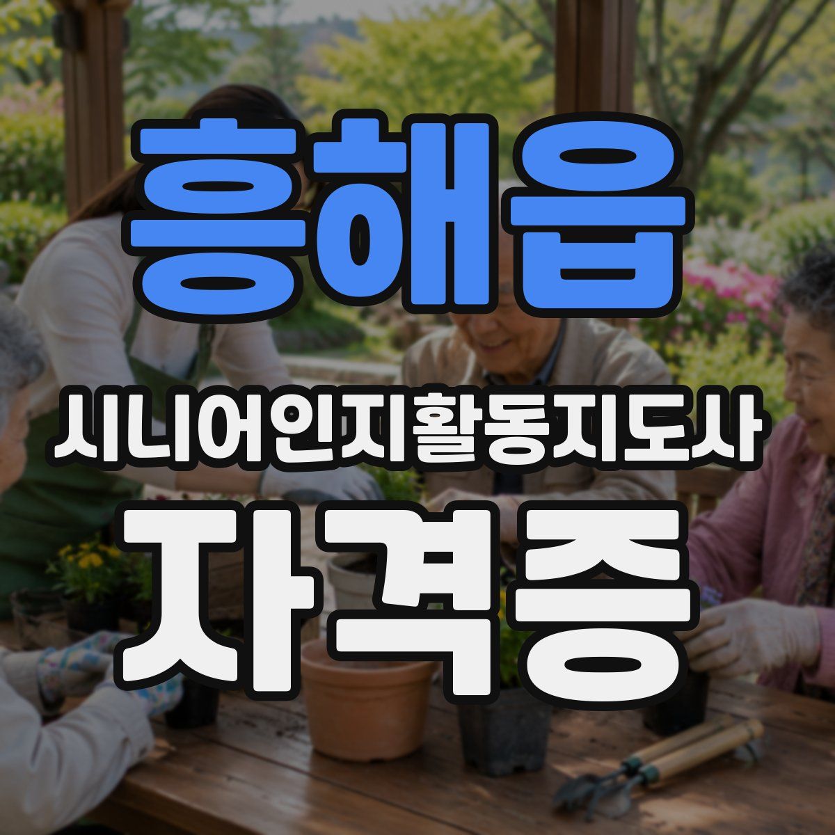 흥해읍 시니어인지활동지도사 자격증