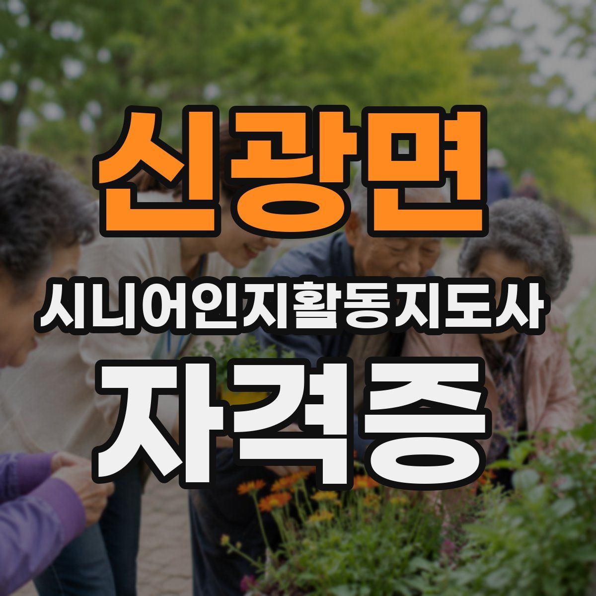 신광면 시니어인지활동지도사 자격증