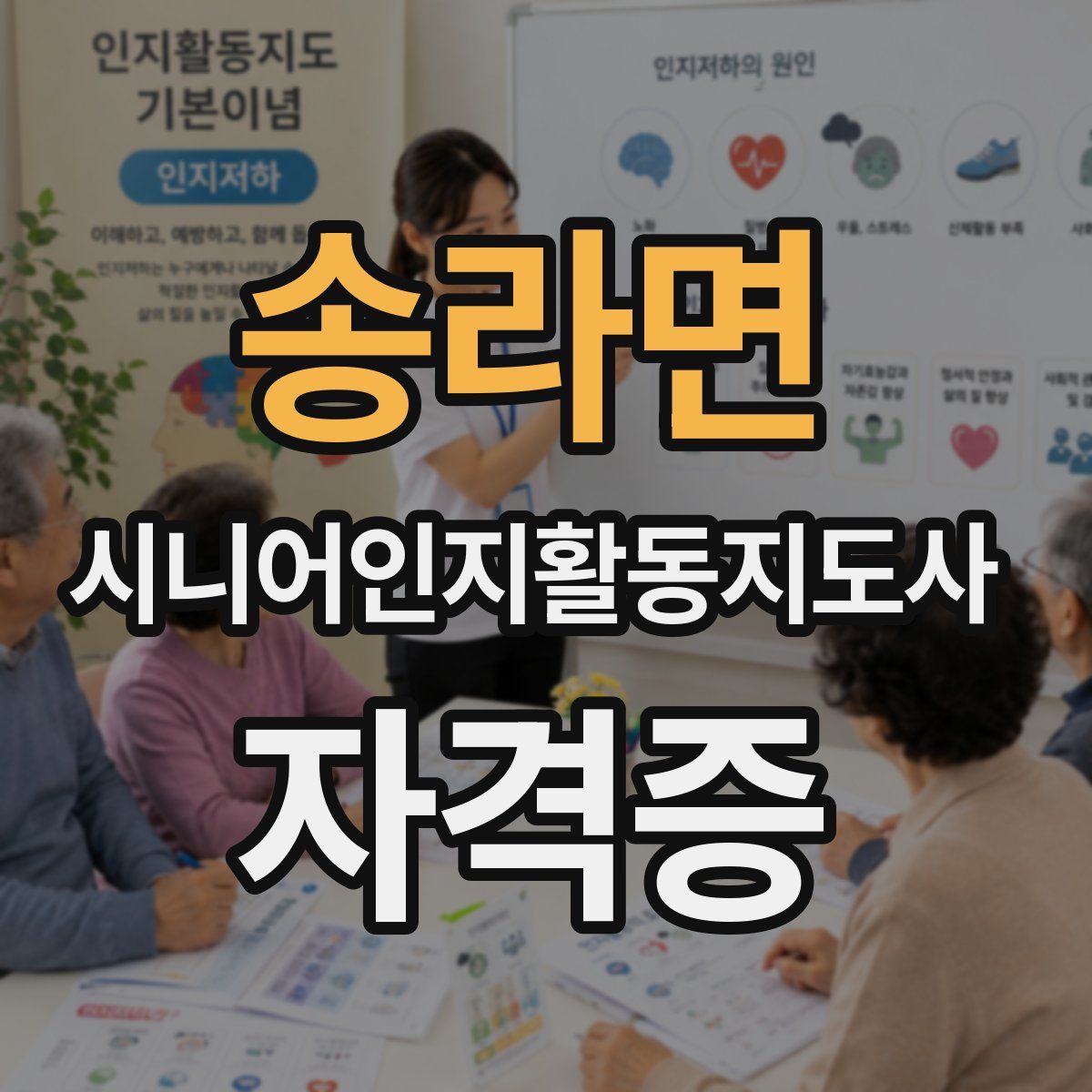 송라면 시니어인지활동지도사 자격증