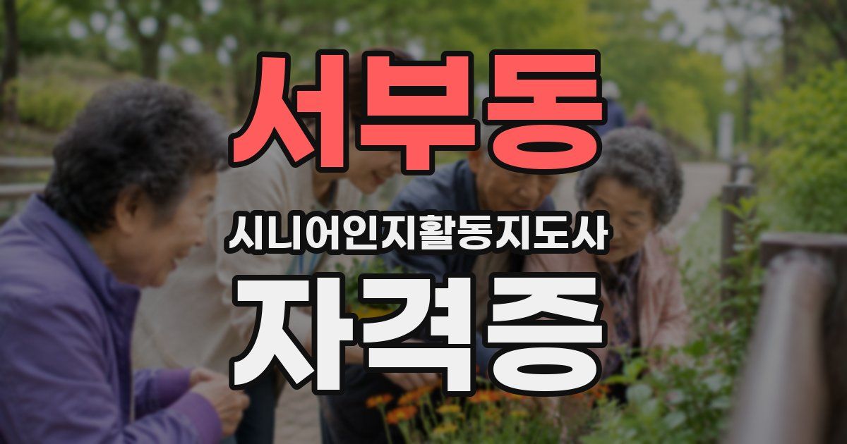서부동 시니어인지활동지도사 자격증