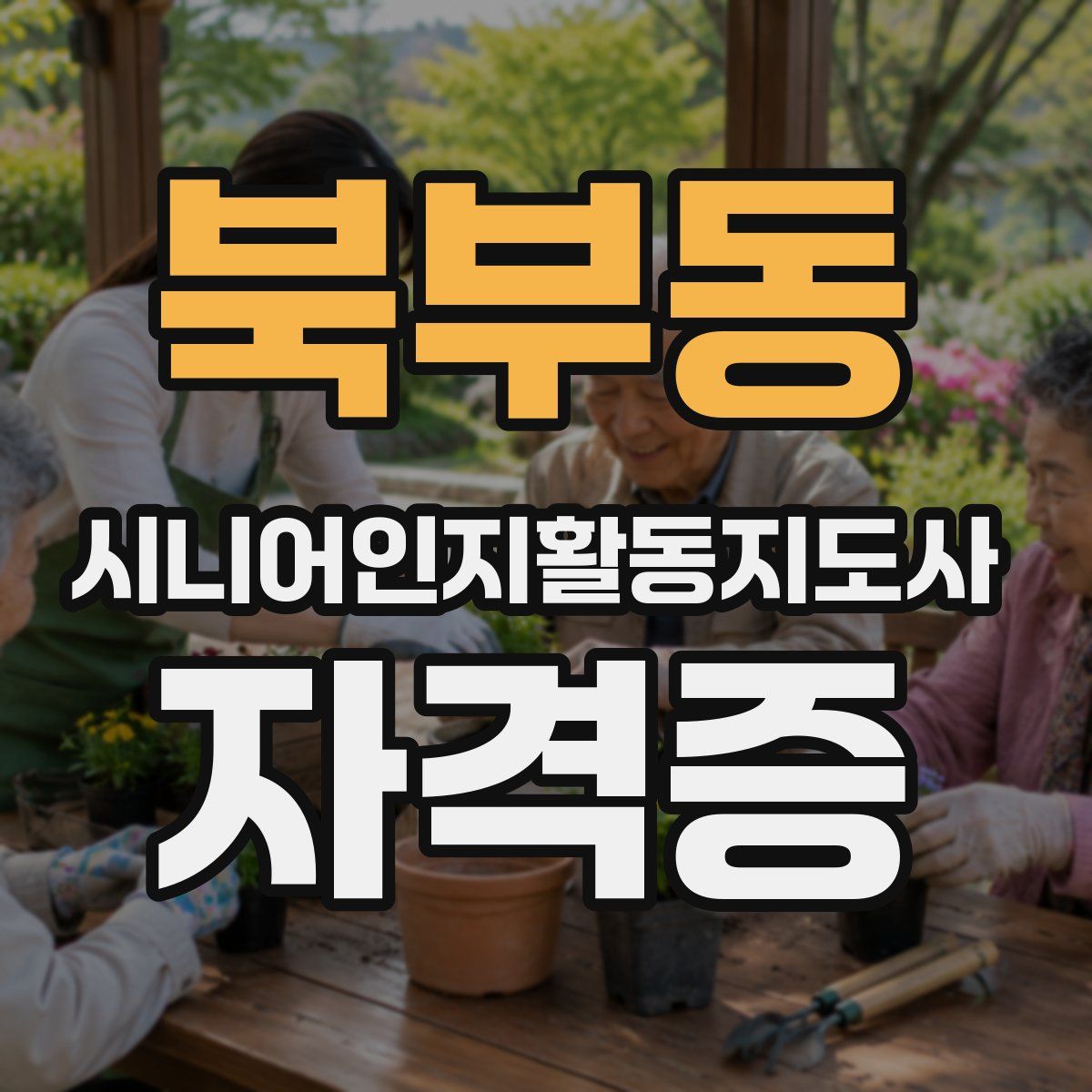 북부동 시니어인지활동지도사 자격증