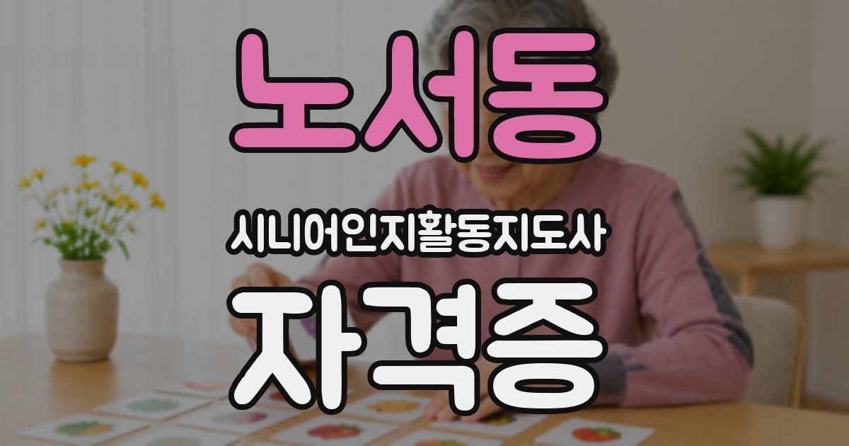 노서동 시니어인지활동지도사 자격증