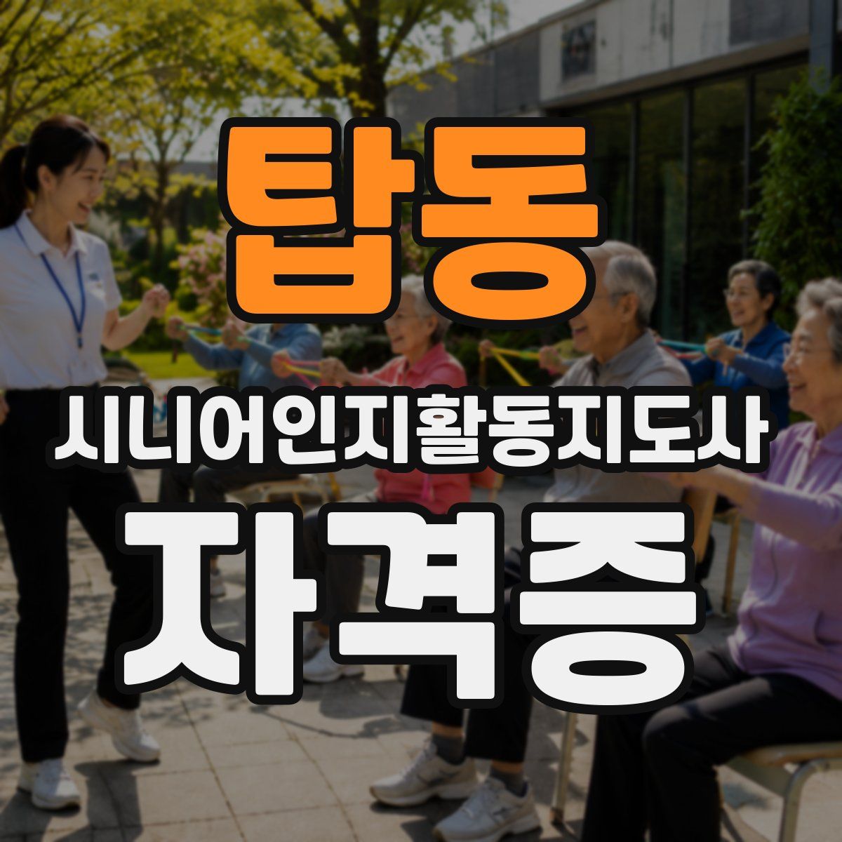 탑동 시니어인지활동지도사 자격증
