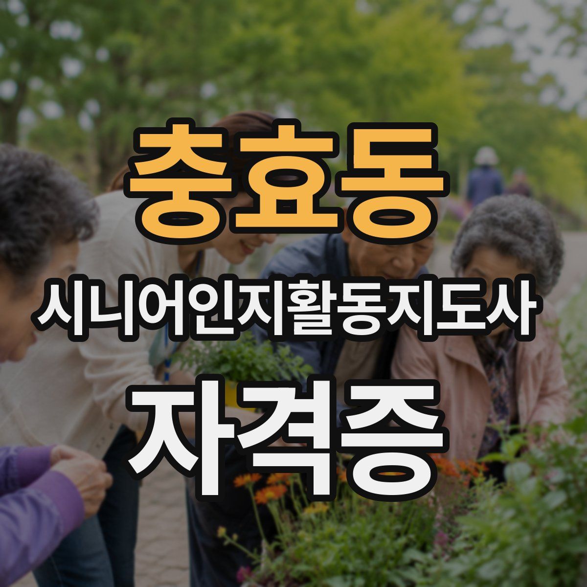 충효동 시니어인지활동지도사 자격증