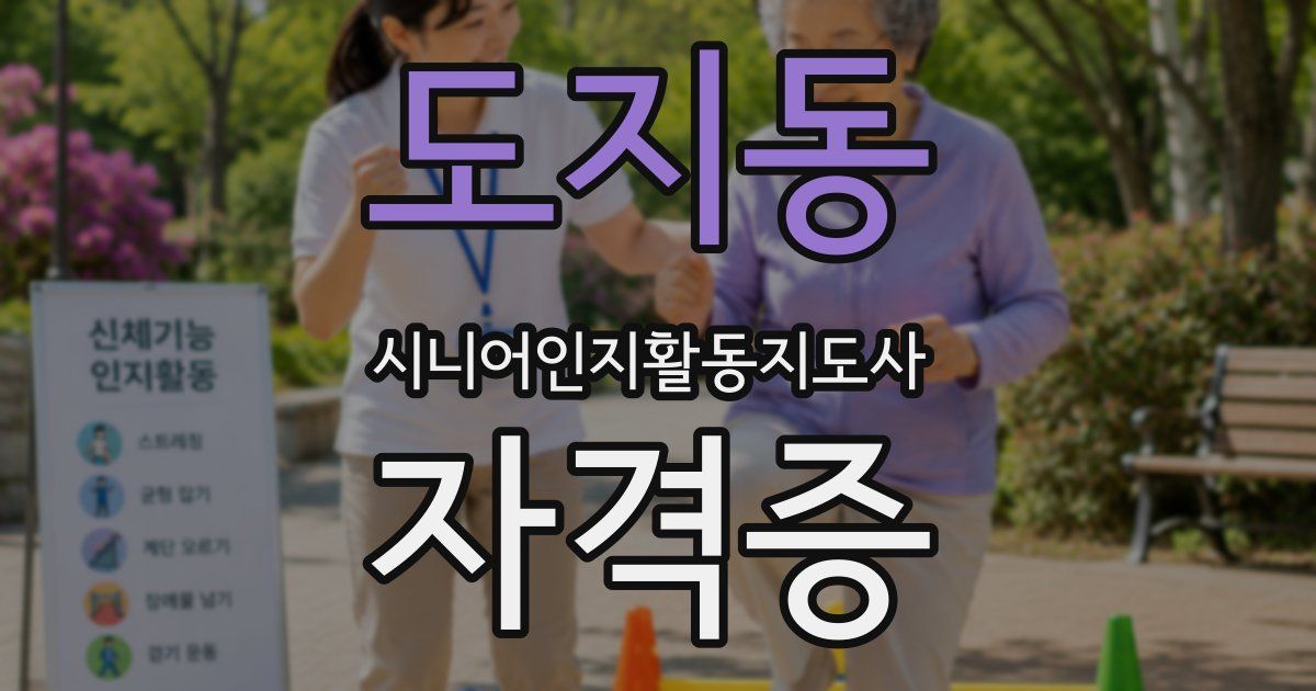 도지동 시니어인지활동지도사 자격증