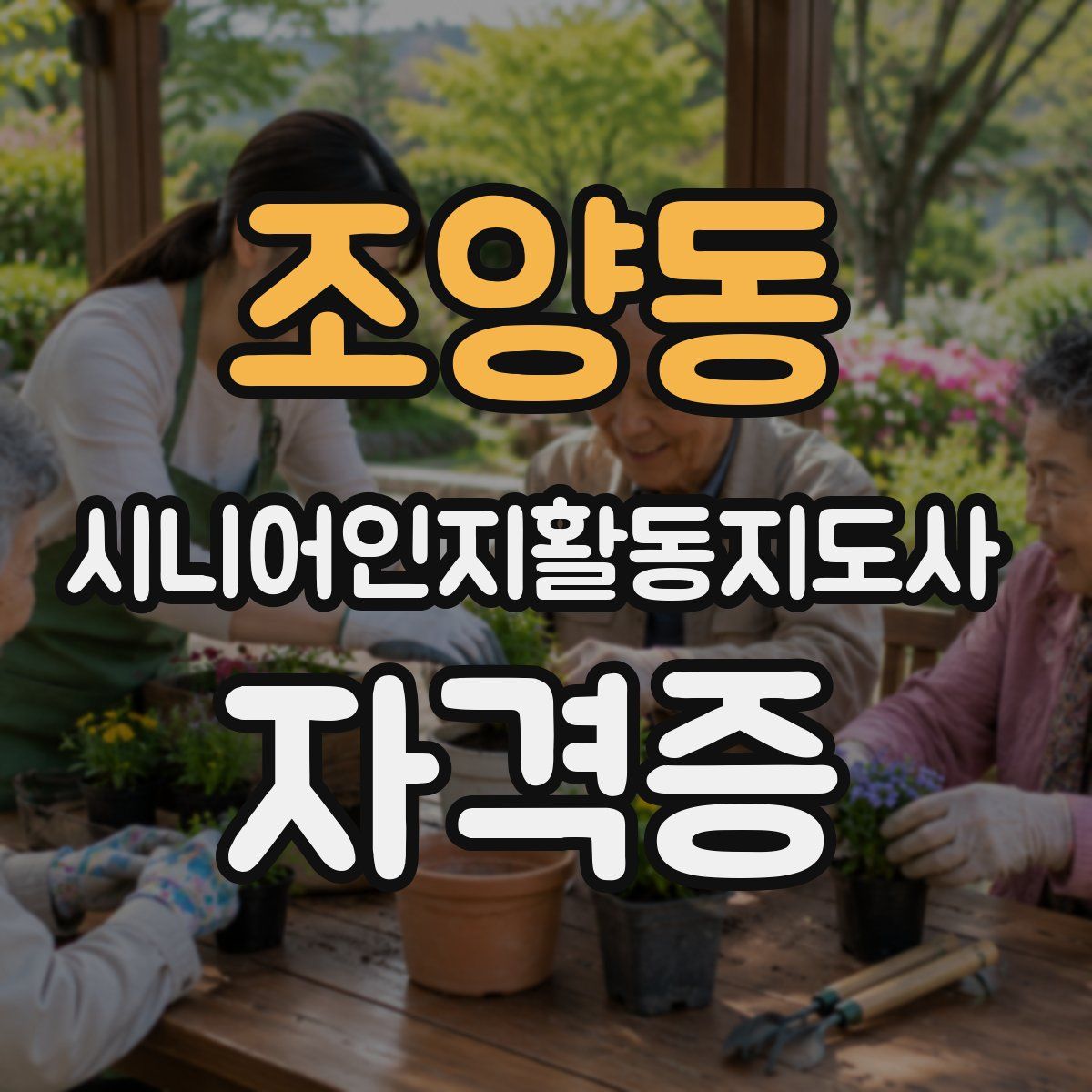 조양동 시니어인지활동지도사 자격증