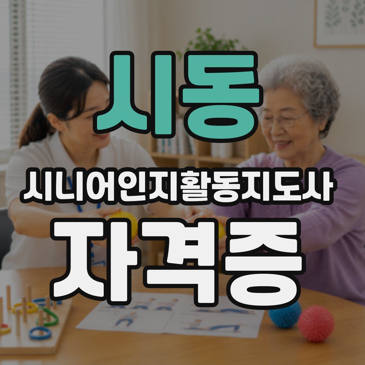 시동 시니어인지활동지도사 자격증