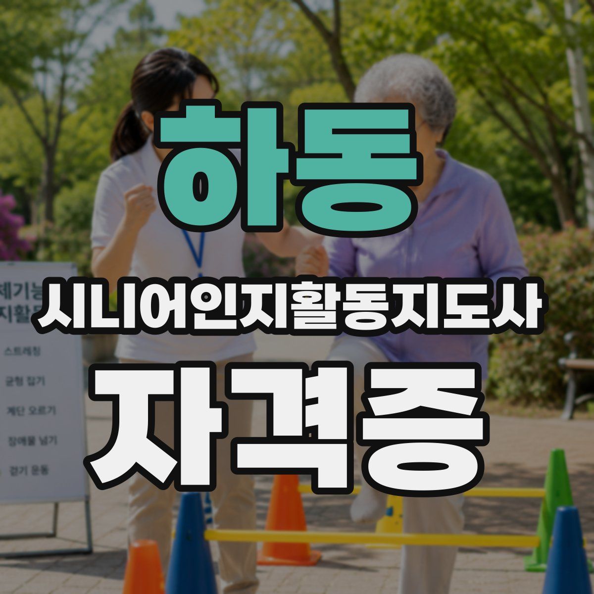 하동 시니어인지활동지도사 자격증