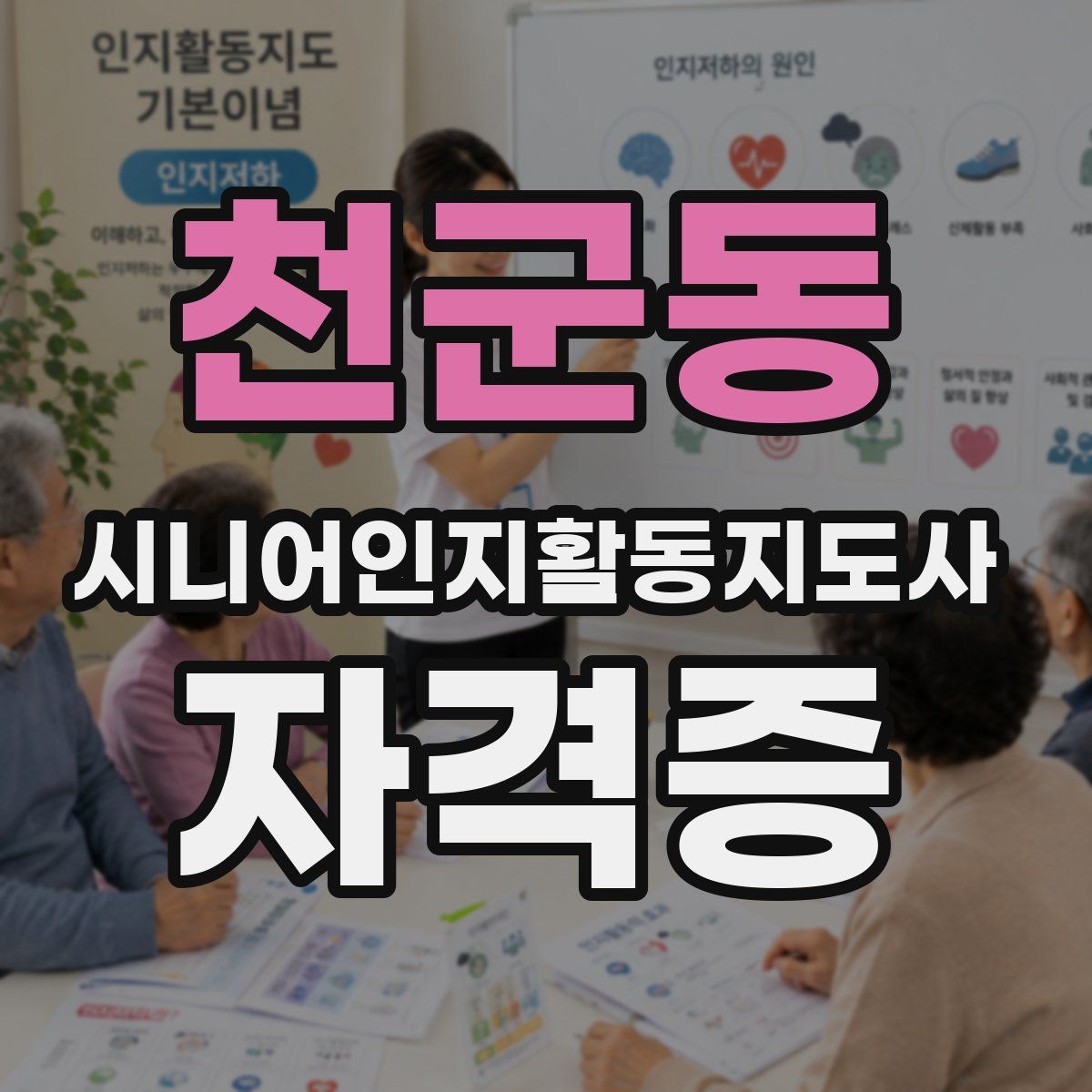 천군동 시니어인지활동지도사 자격증