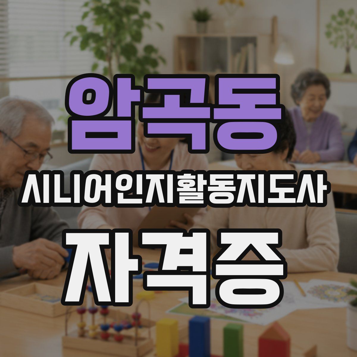 암곡동 시니어인지활동지도사 자격증