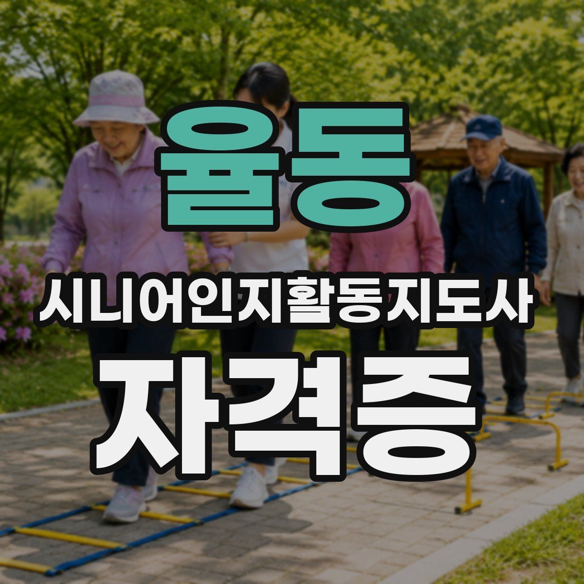 율동 시니어인지활동지도사 자격증
