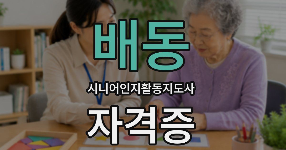 배동 시니어인지활동지도사 자격증