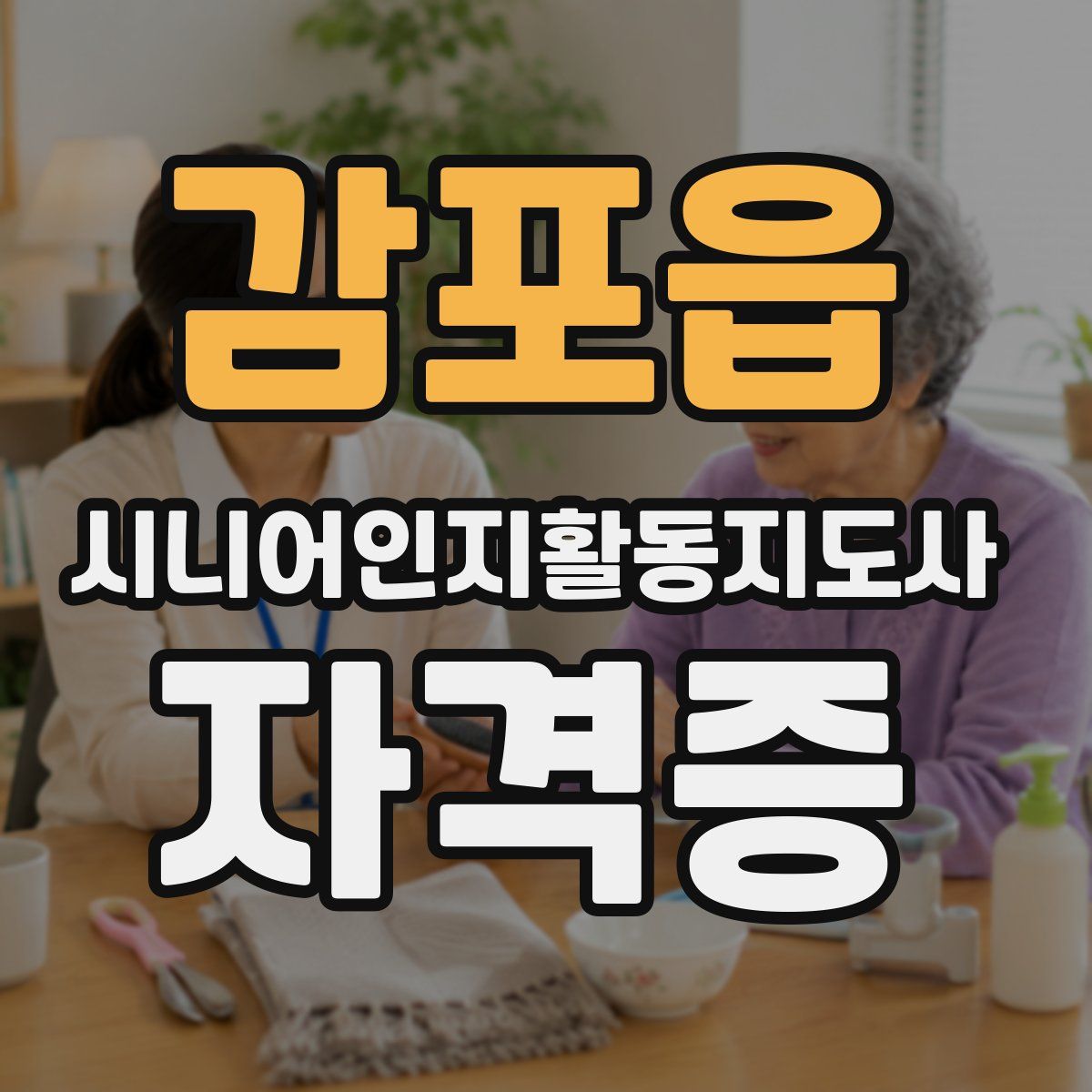 감포읍 시니어인지활동지도사 자격증