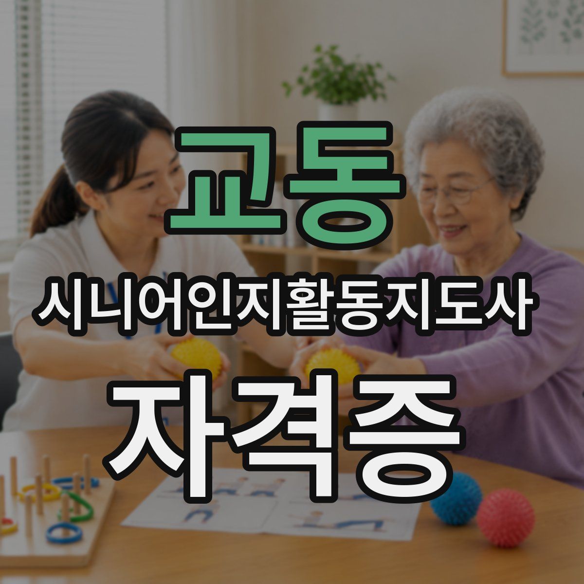 교동 시니어인지활동지도사 자격증
