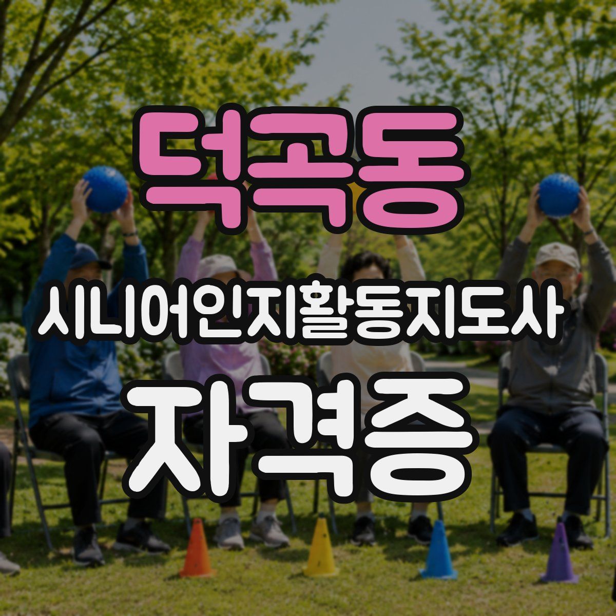 덕곡동 시니어인지활동지도사 자격증