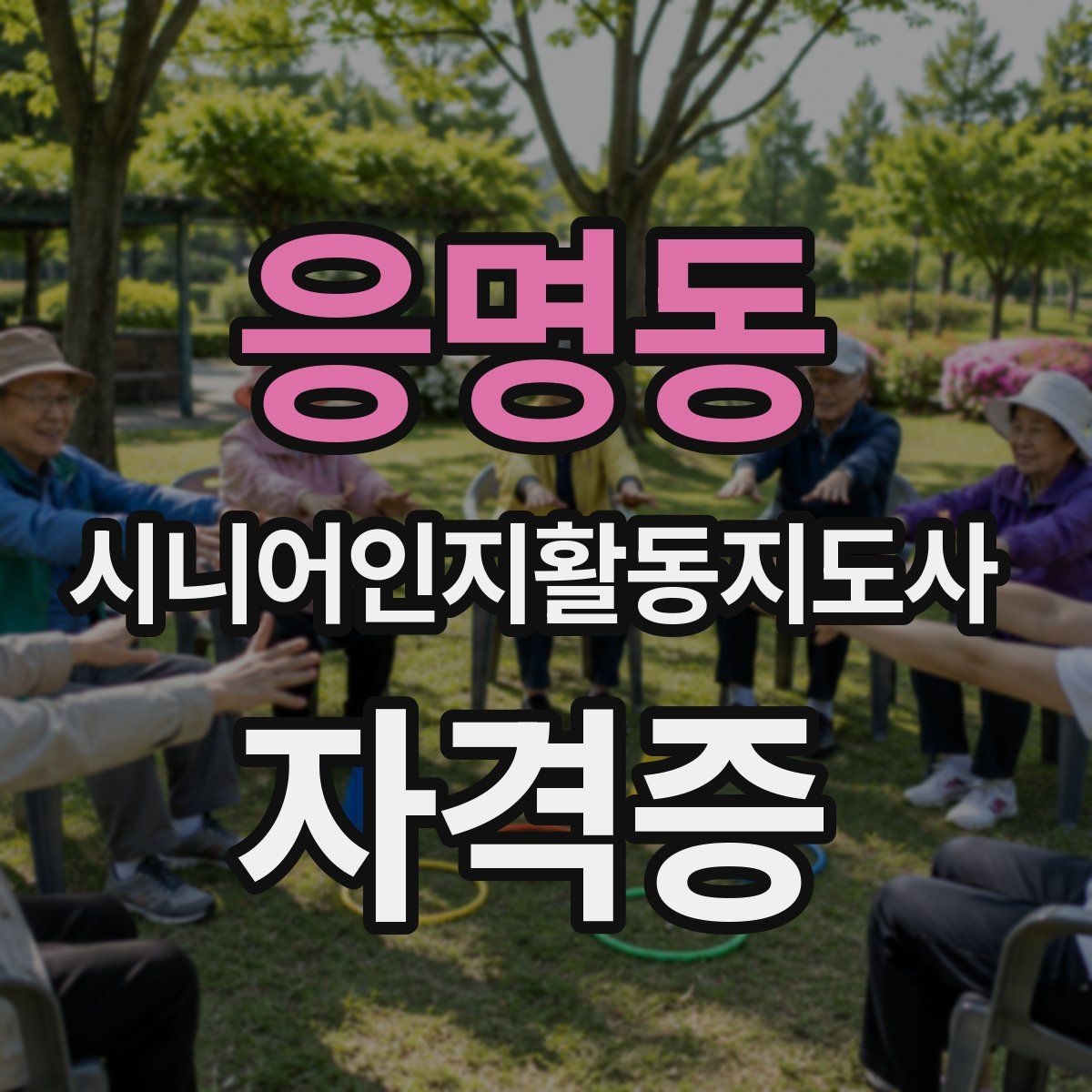 응명동 시니어인지활동지도사 자격증