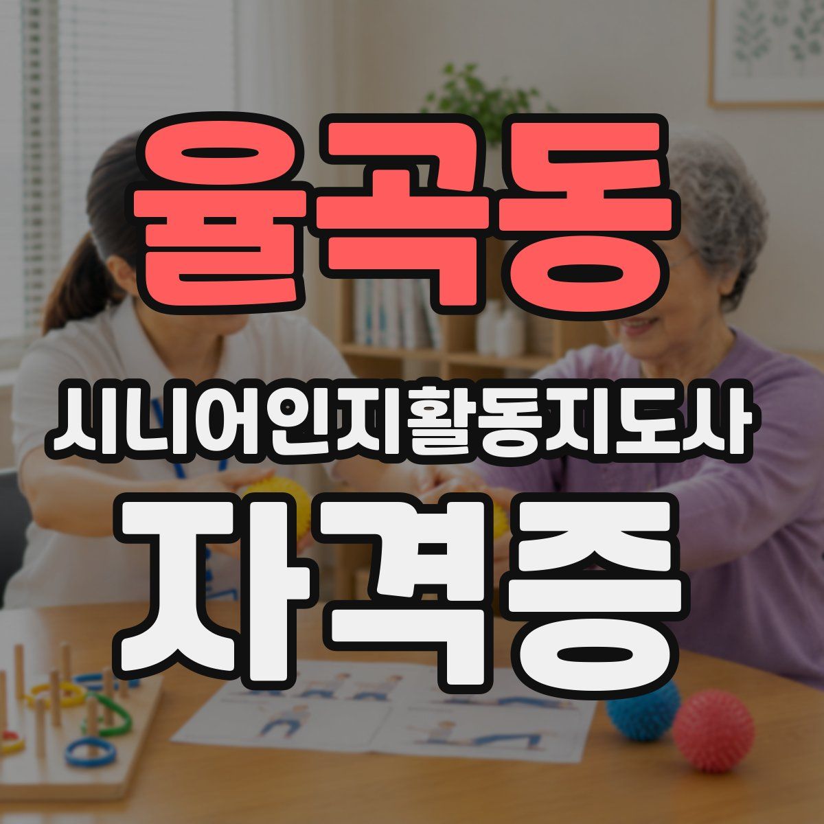 율곡동 시니어인지활동지도사 자격증