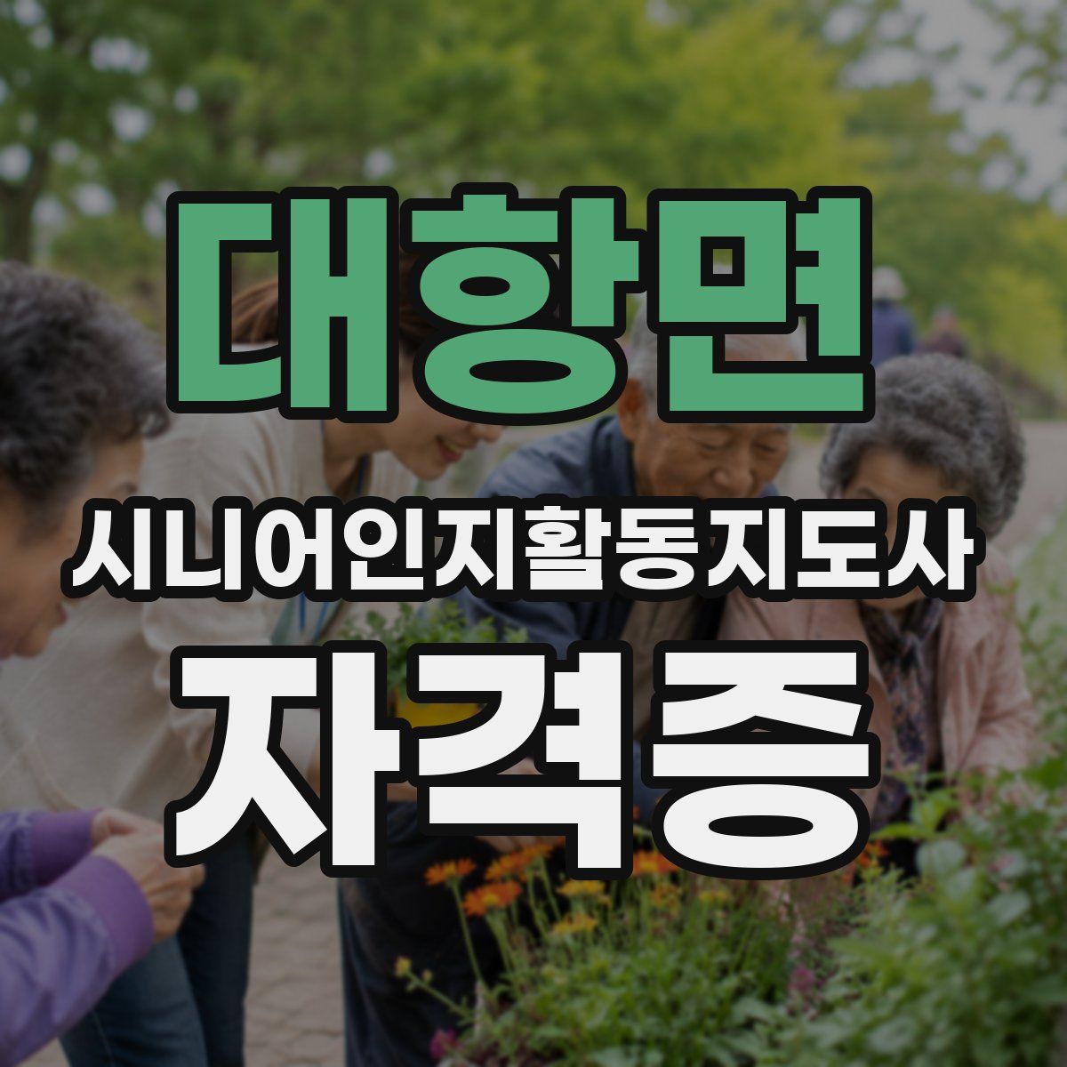대항면 시니어인지활동지도사 자격증