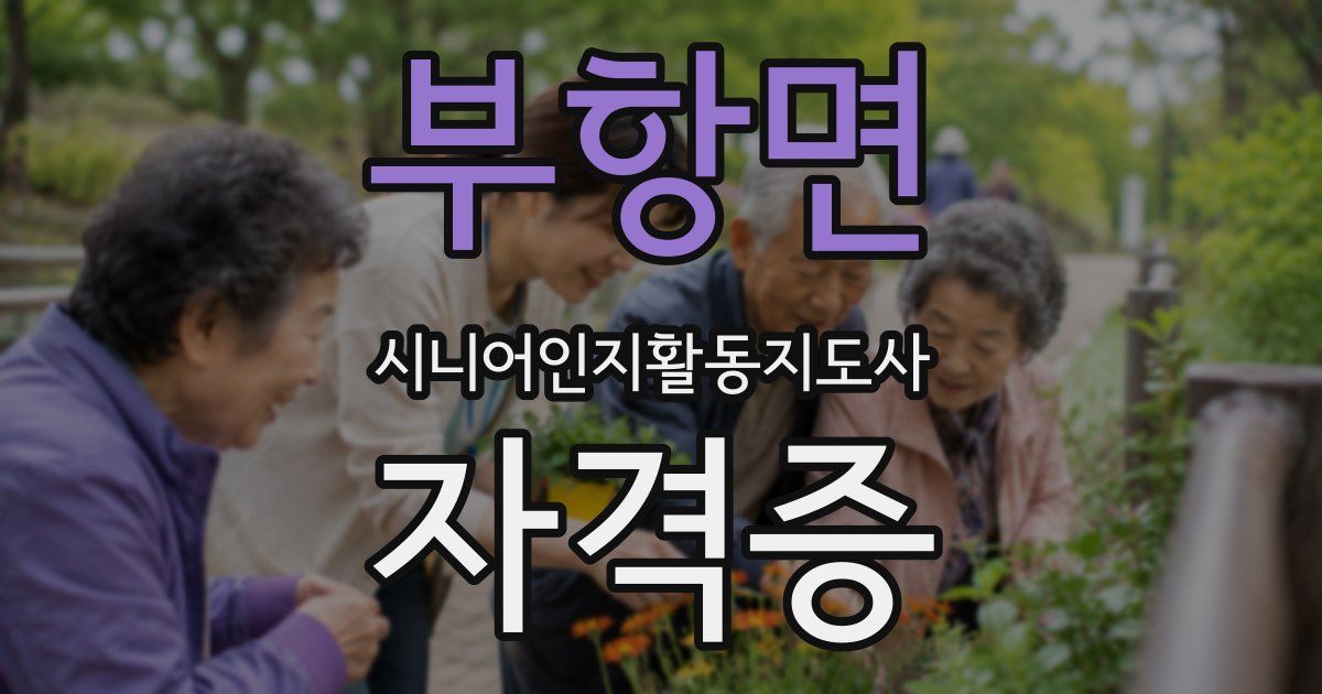 부항면 시니어인지활동지도사 자격증