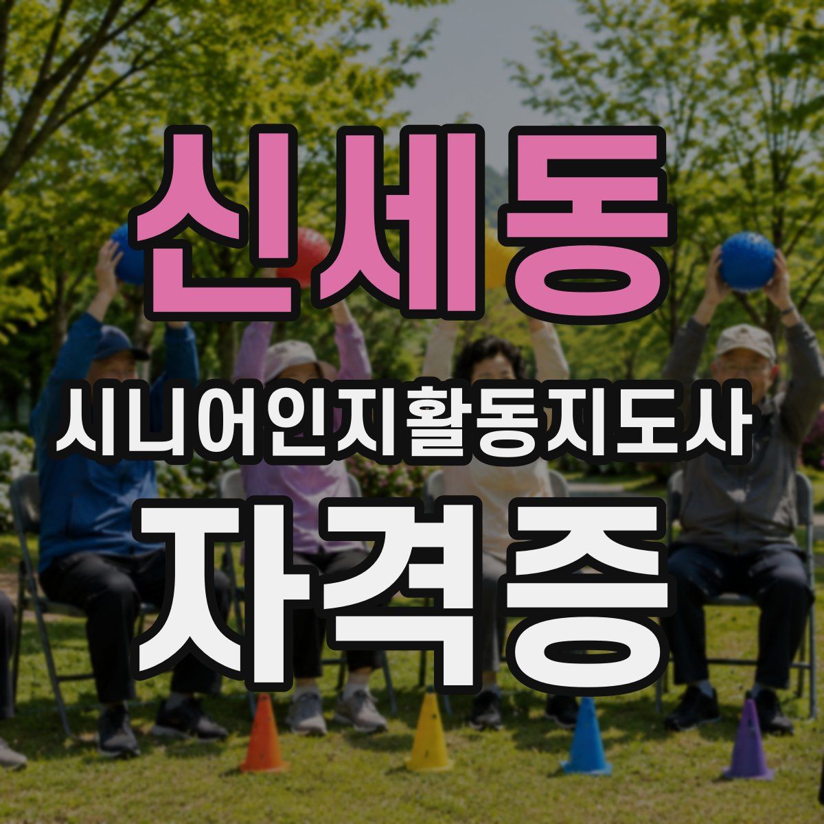 신세동 시니어인지활동지도사 자격증