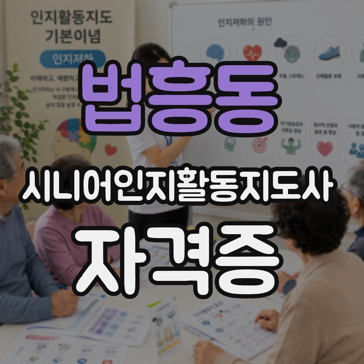 법흥동 시니어인지활동지도사 자격증