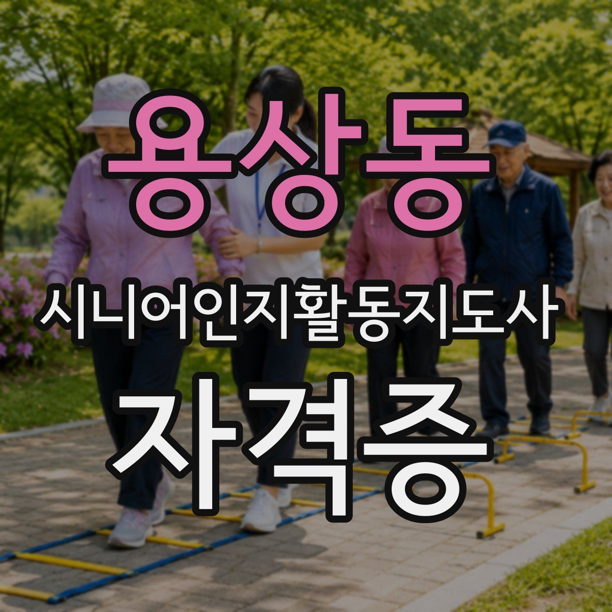 용상동 시니어인지활동지도사 자격증