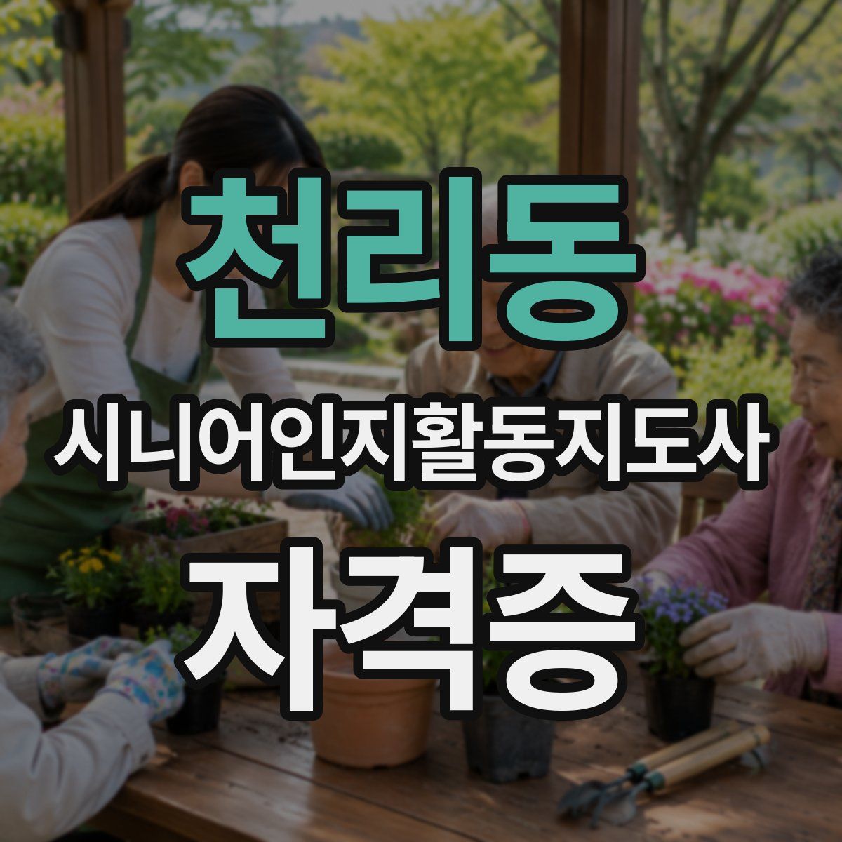 천리동 시니어인지활동지도사 자격증