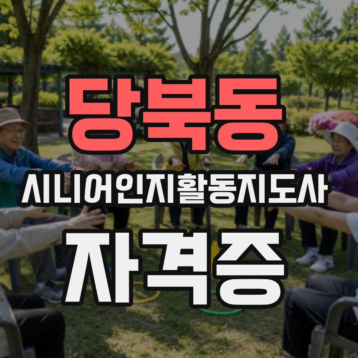 당북동 시니어인지활동지도사 자격증