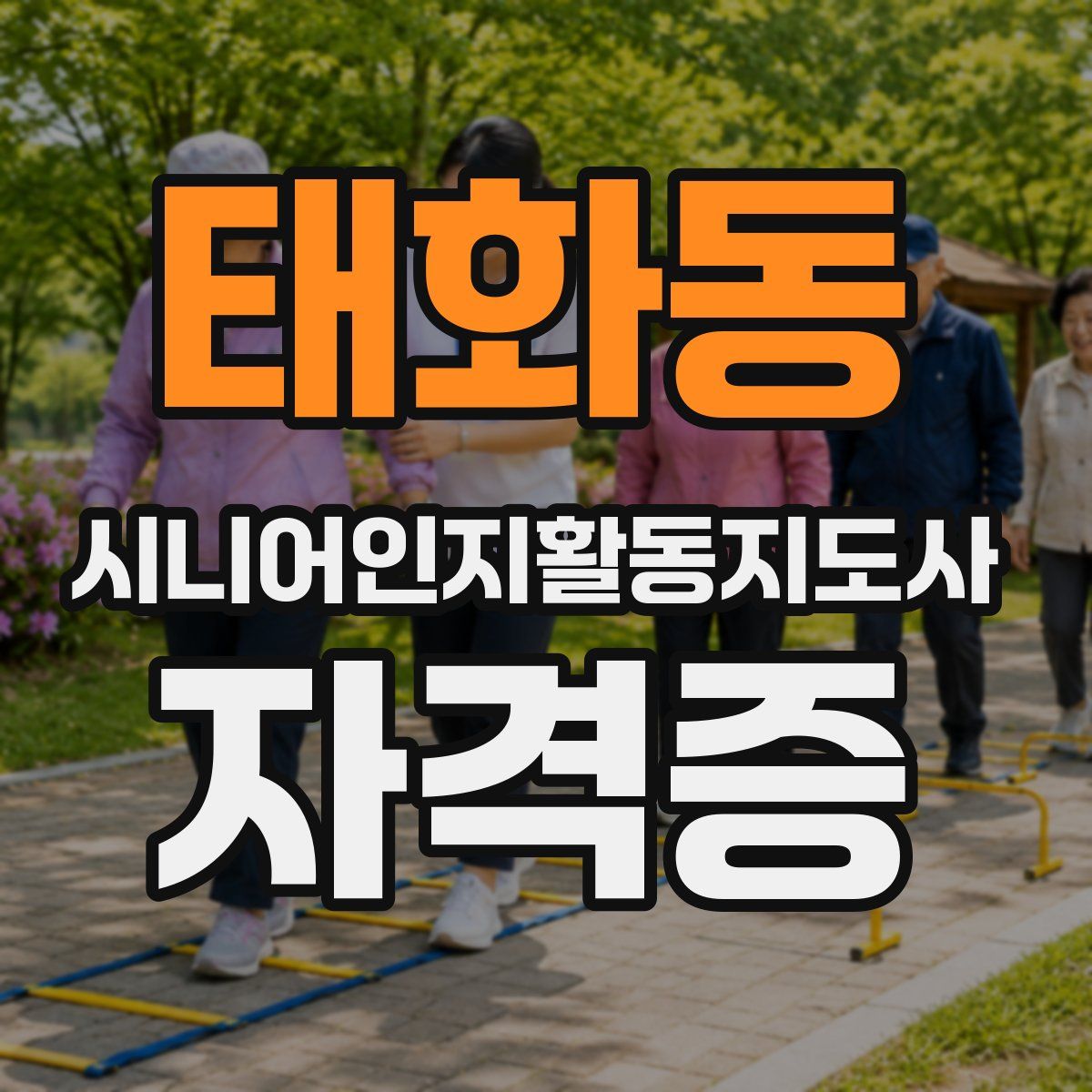 태화동 시니어인지활동지도사 자격증