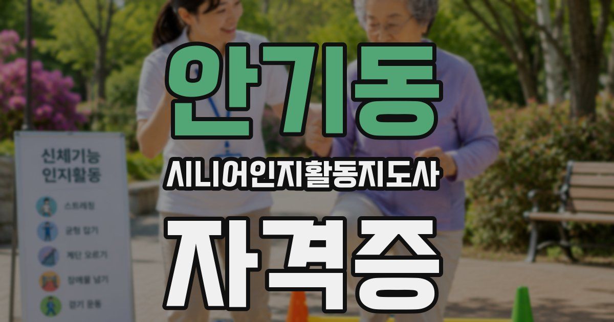 안기동 시니어인지활동지도사 자격증