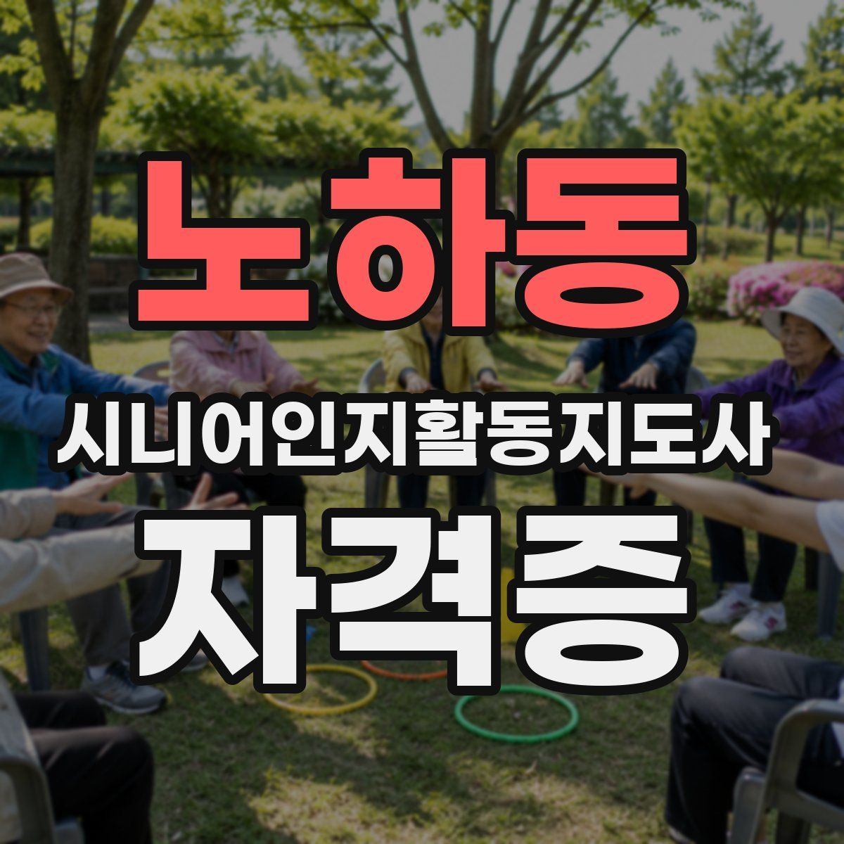 노하동 시니어인지활동지도사 자격증