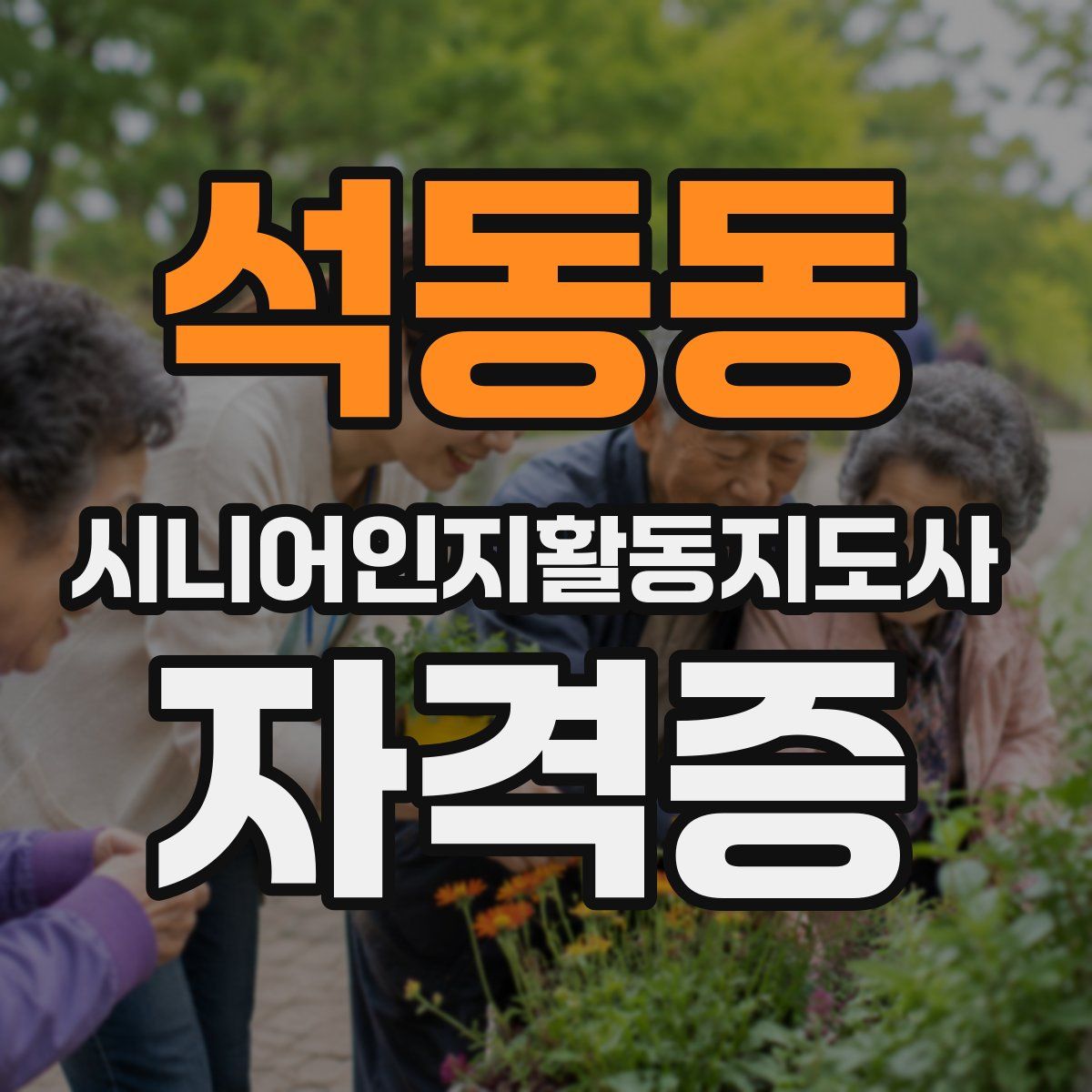 석동동 시니어인지활동지도사 자격증
