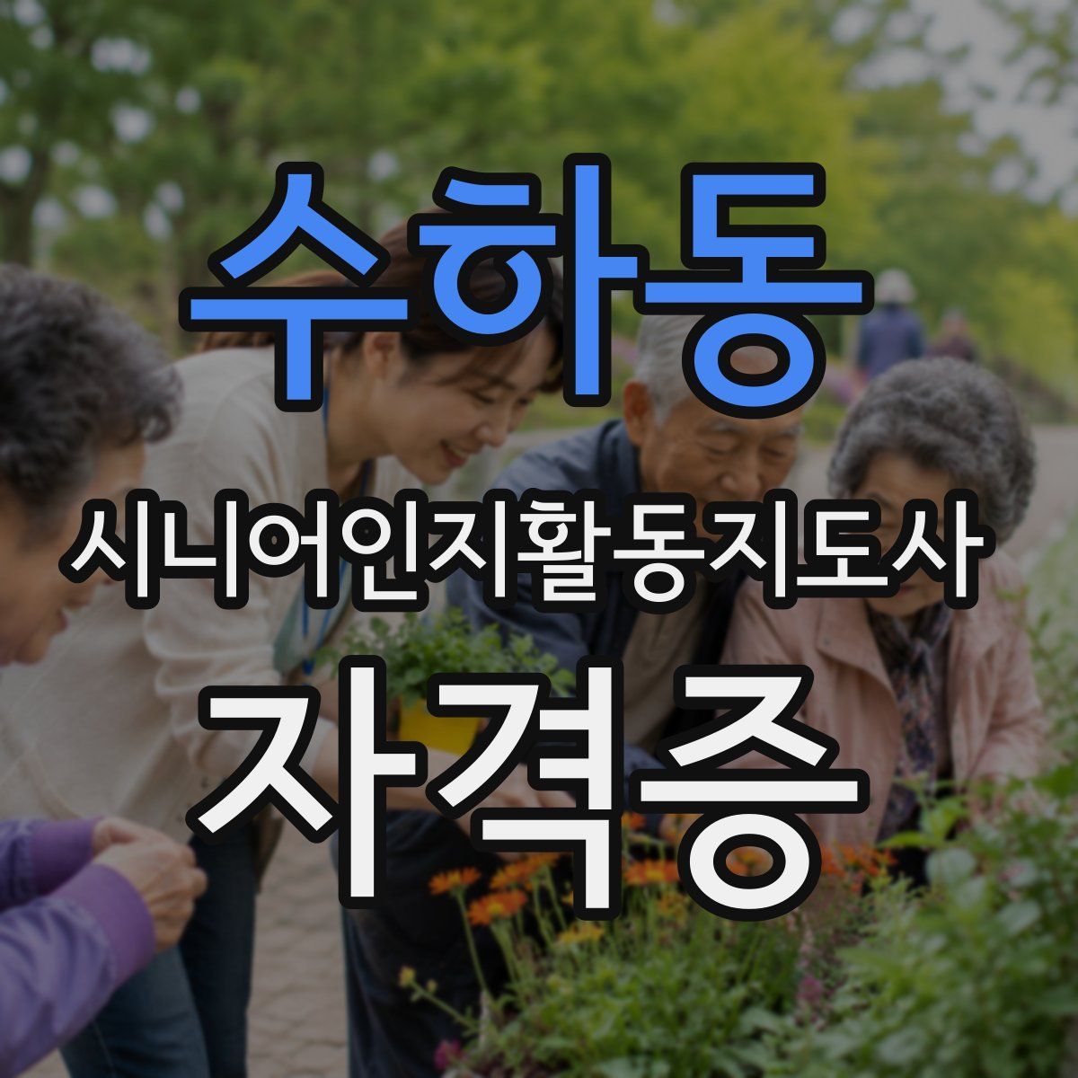 수하동 시니어인지활동지도사 자격증