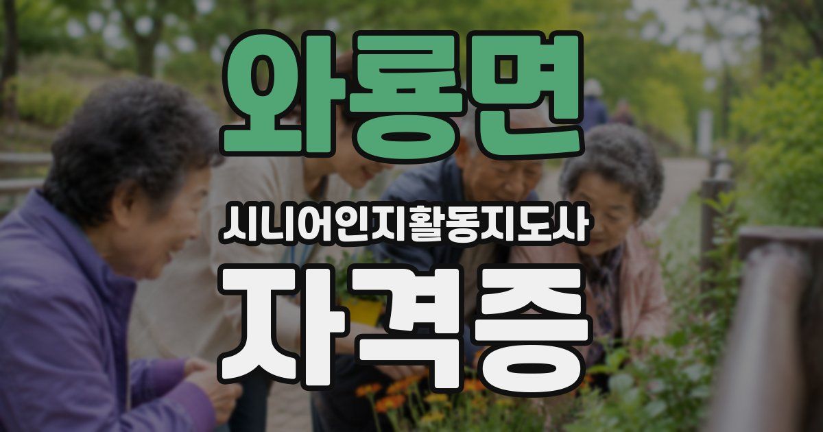 와룡면 시니어인지활동지도사 자격증