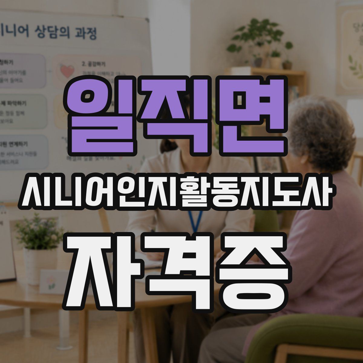 일직면 시니어인지활동지도사 자격증
