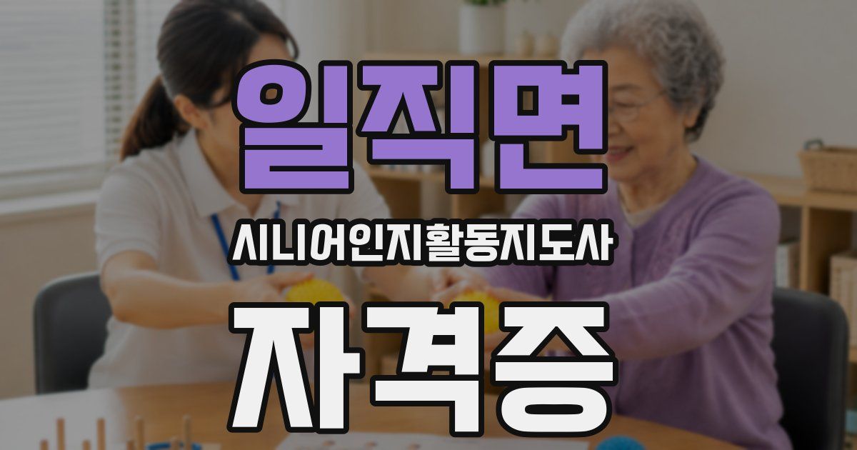 일직면 시니어인지활동지도사 자격증