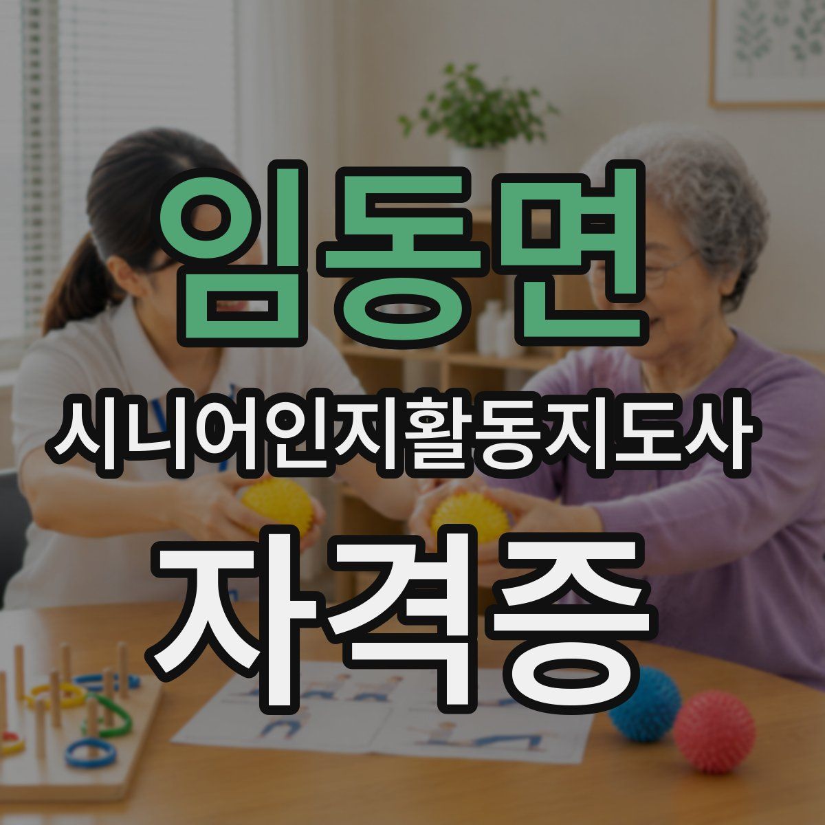 임동면 시니어인지활동지도사 자격증