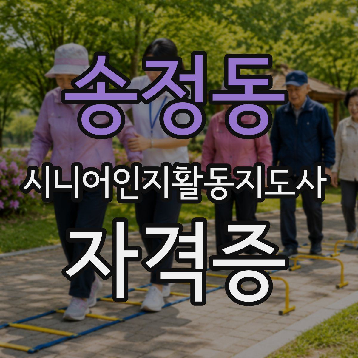 송정동 시니어인지활동지도사 자격증