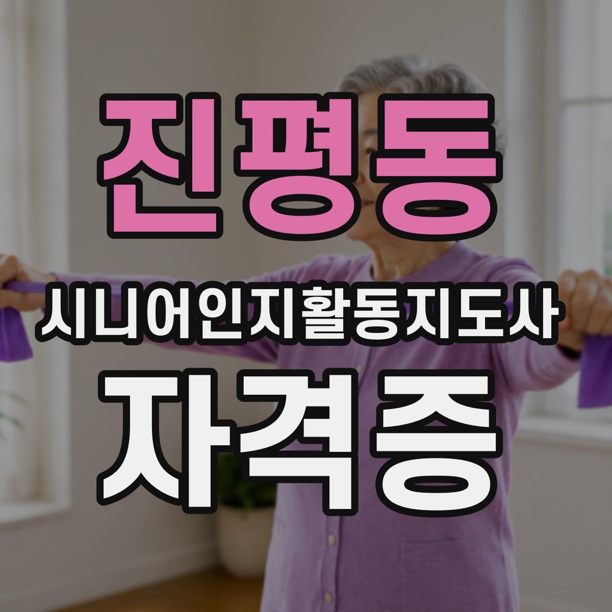 진평동 시니어인지활동지도사 자격증