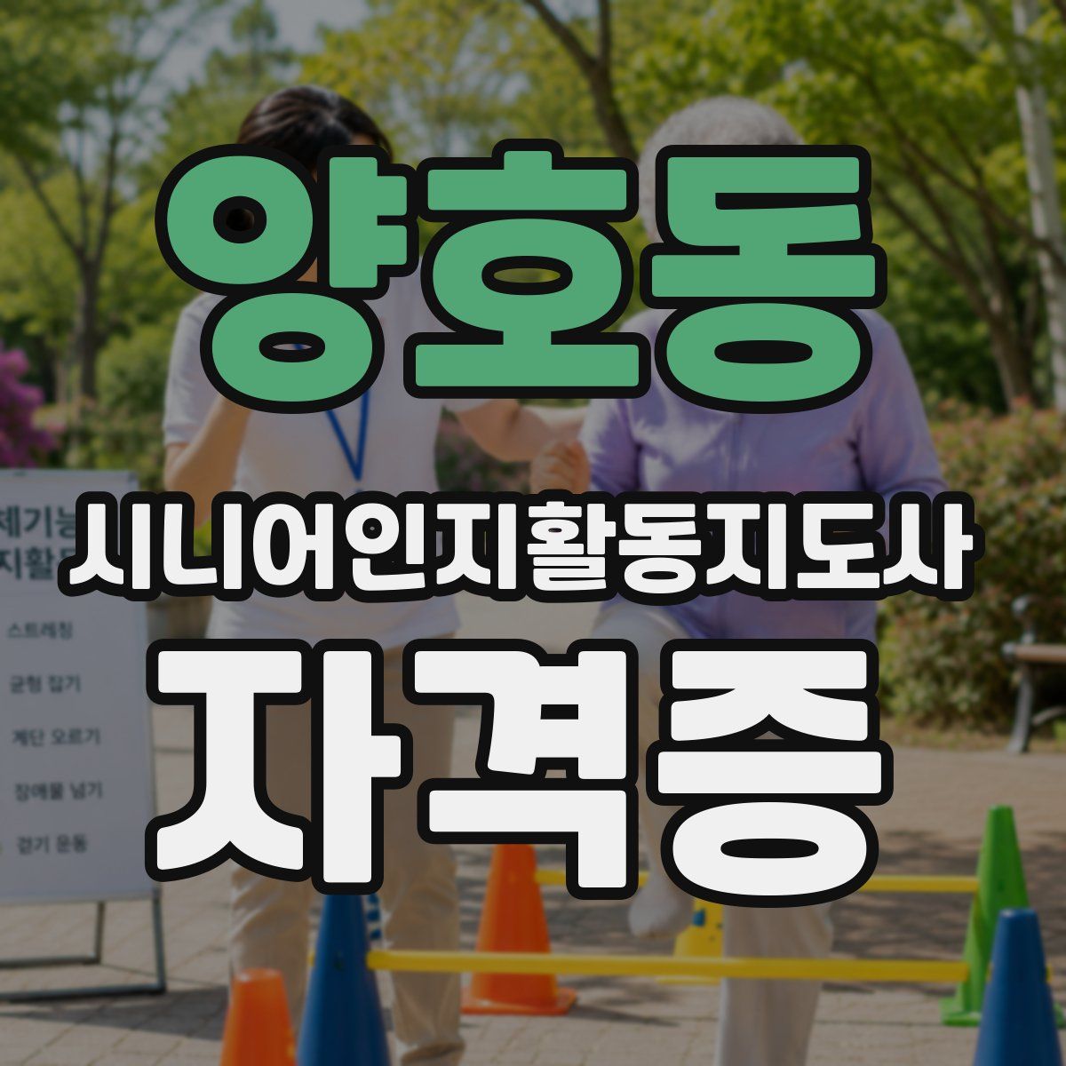 양호동 시니어인지활동지도사 자격증