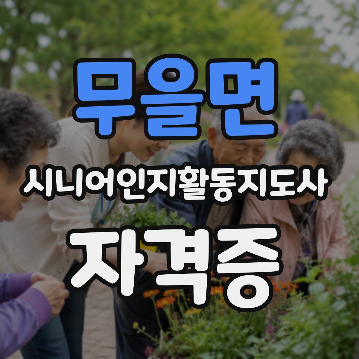 무을면 시니어인지활동지도사 자격증
