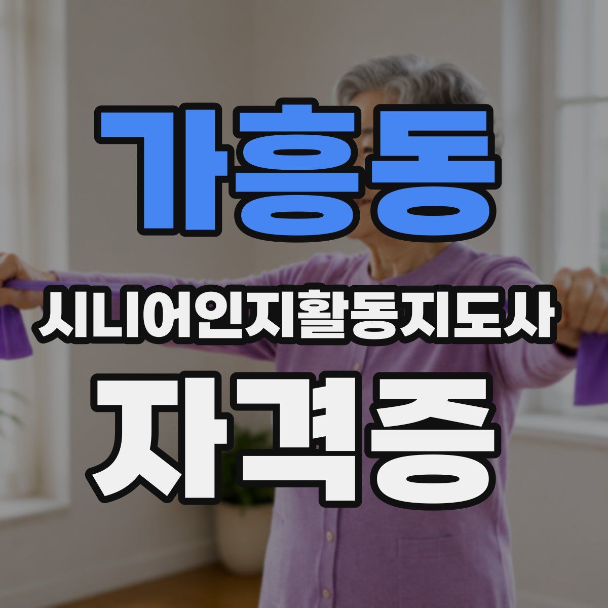 가흥동 시니어인지활동지도사 자격증
