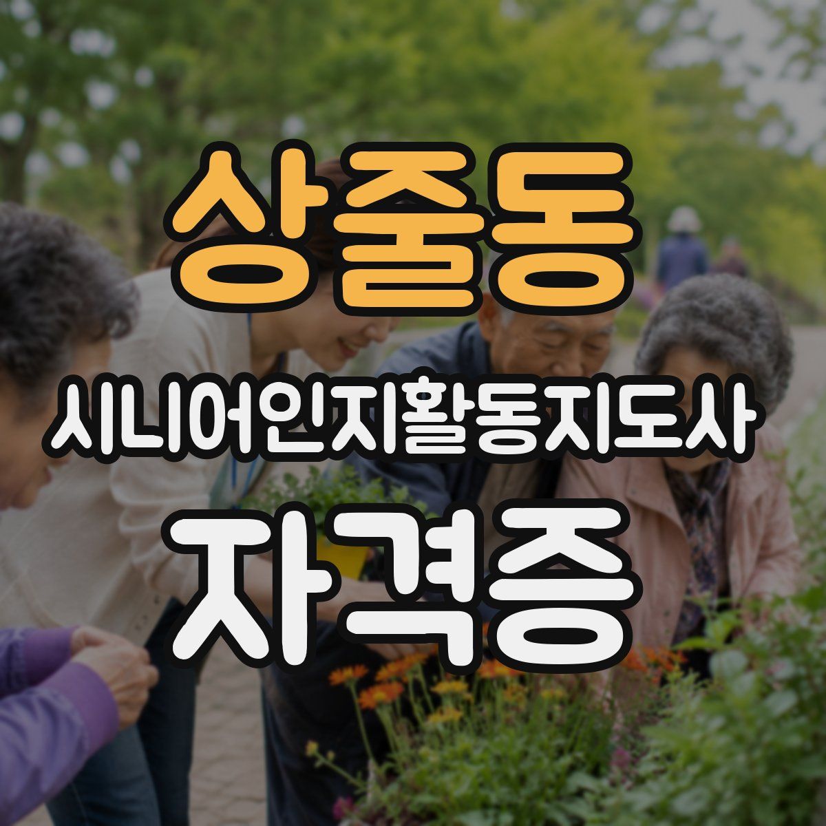 상줄동 시니어인지활동지도사 자격증