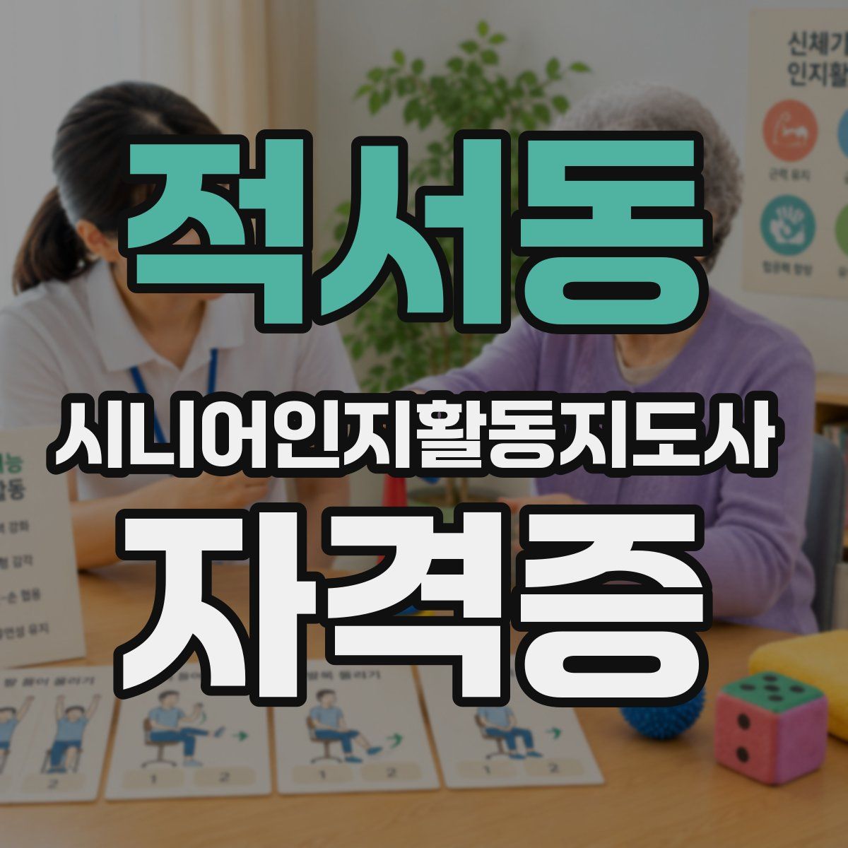 적서동 시니어인지활동지도사 자격증
