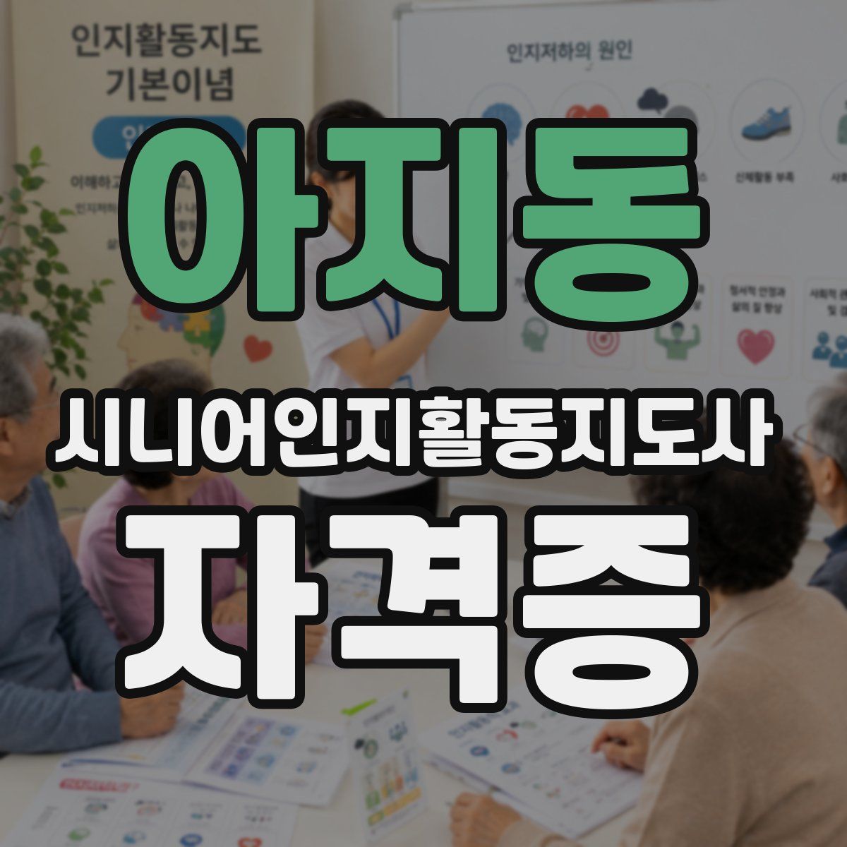 아지동 시니어인지활동지도사 자격증